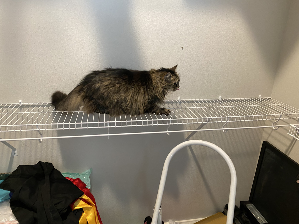 Mom, where is the flat thing i'm supposed to walk on?