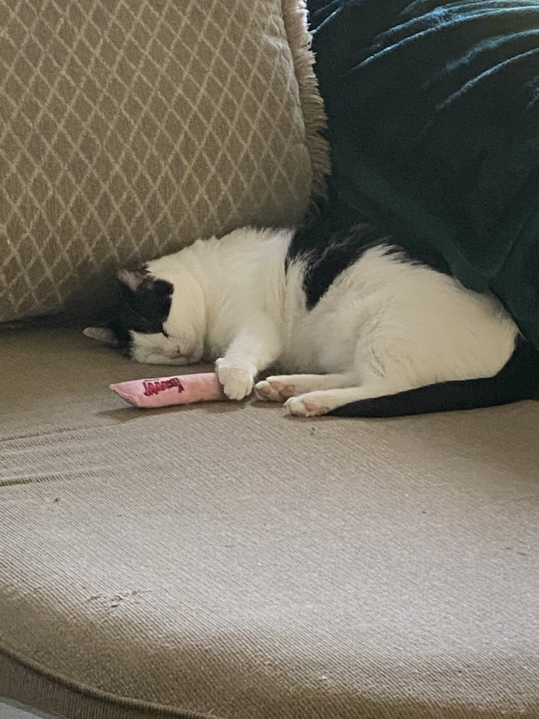 THIS toy mom