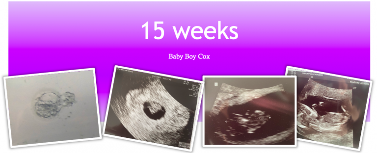 Week 15