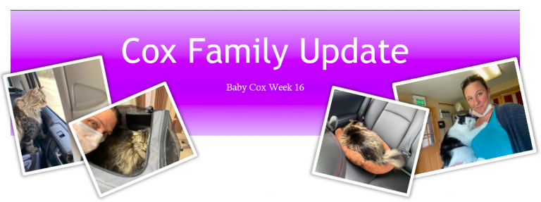 Week 16
