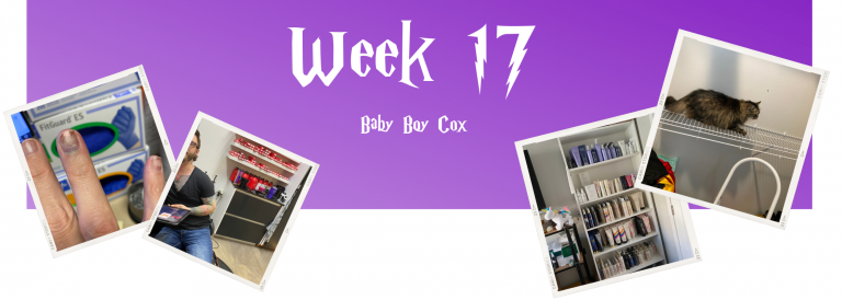 Week 17