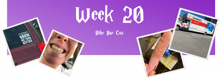 Week 20