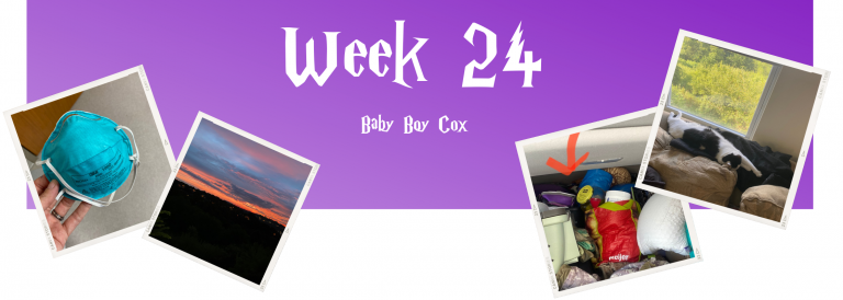 Week 24