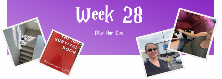 Week 28