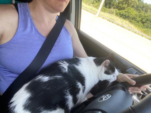 riding
