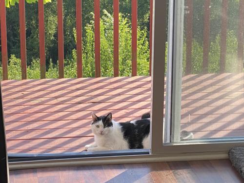 back porch