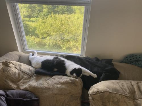 new favorite spot!