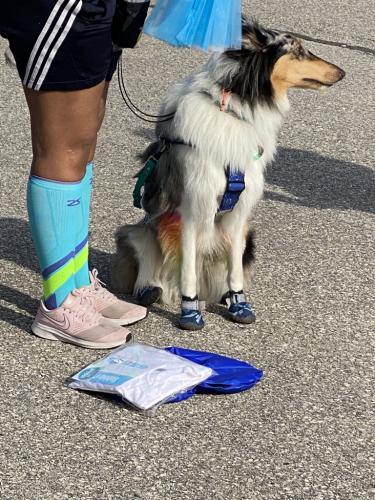 Bubble run mascot