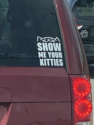 Kitties