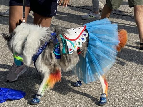 Bubble run mascot